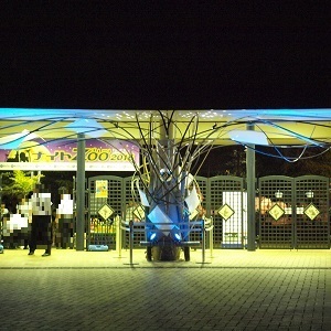 ライトアップされた幻想的な光景です 夜のいしかわ動物園ナイトズー16 金沢の日常のメモ